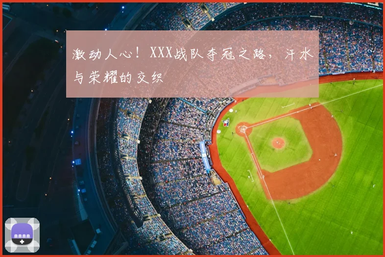 激动人心!XXX战队夺冠之路,汗水与荣耀的交织