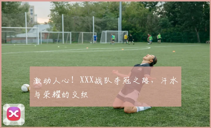 激动人心!XXX战队夺冠之路,汗水与荣耀的交织